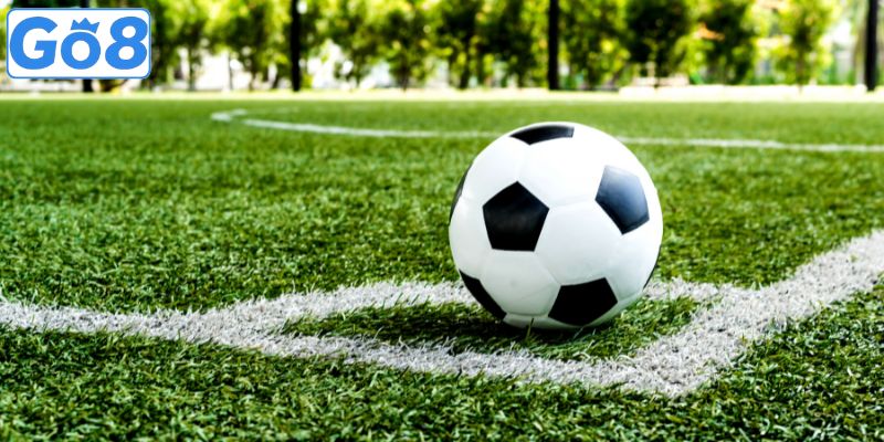 4 lưu ý khi đặt cược thể thao