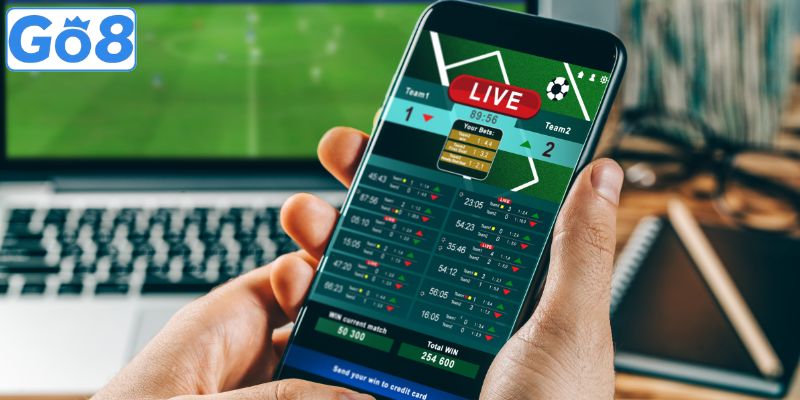 Cá cược thể thao với nhiều sảnh cược khác nhau