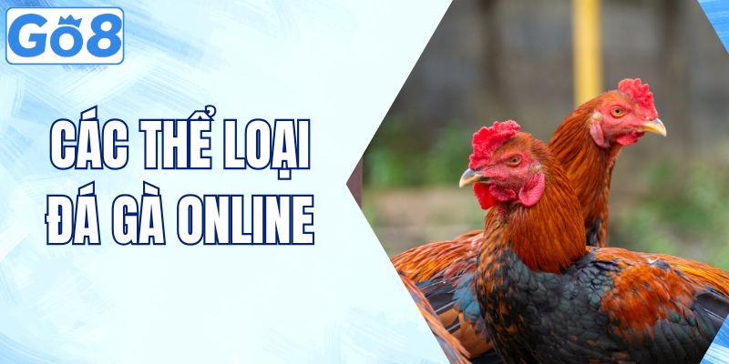 Khám Phá Các Thể Loại Đá Gà Online Phổ Biến Hiện Nay 1 các thể loại đá gà online
