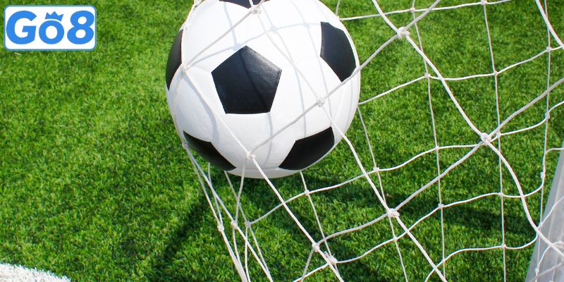 Kèo Rung Là Gì? Bật Mí Kinh Nghiệm Đầu Tư Bất Bại 2026 4 Chia sẻ bí quyết chơi kèo rung từ chuyên gia