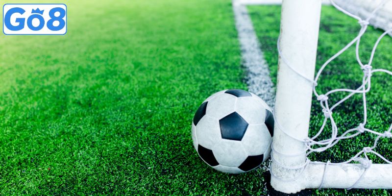 Giới thiệu cá cược thể thao trực tiếp