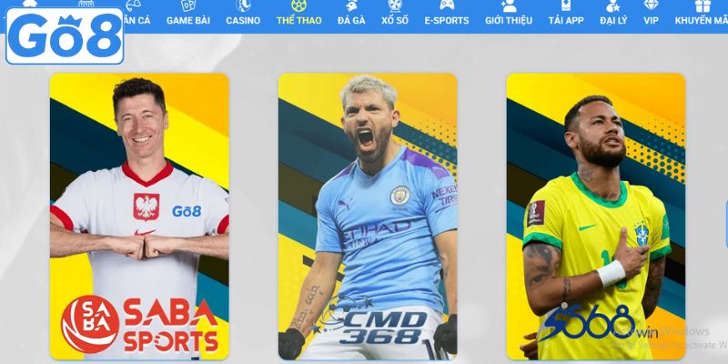 Khám phá một vài thông tin về nền tảng Go8