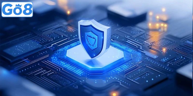 Chính Sách Bảo Mật Go8 – Minh Bạch & An Toàn 2 Nội dung đề cập trong chính sách cần tìm hiểu