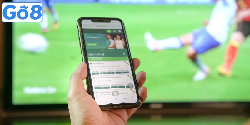 Thể thao - Nền tảng cá cược được ưa chuộng hàng đầu